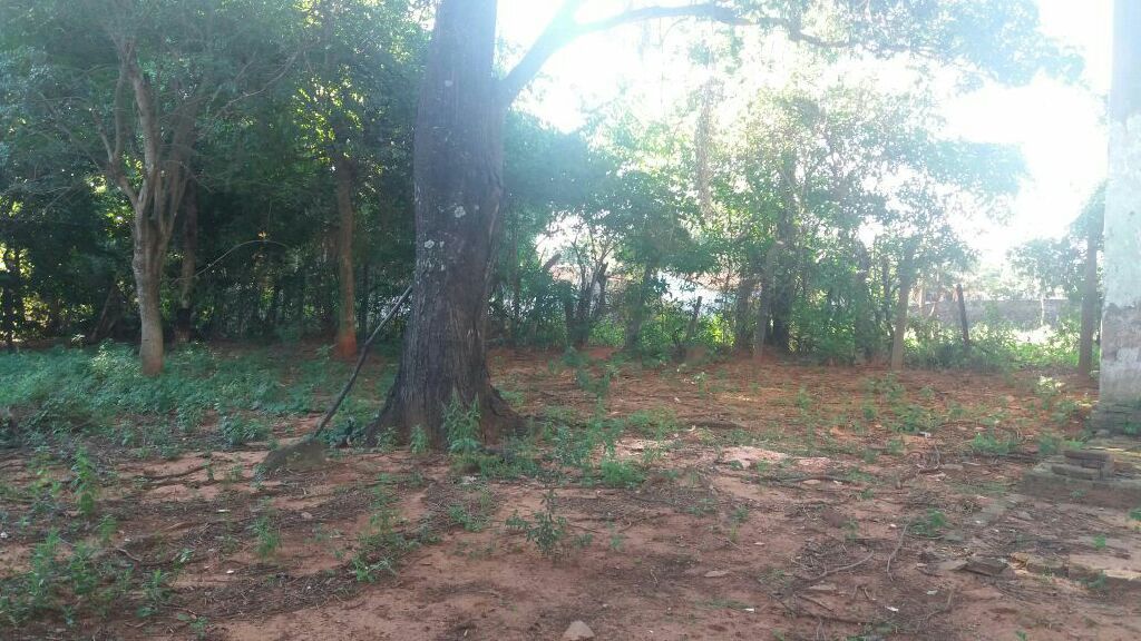 Vendo terreno con casita — foto 2