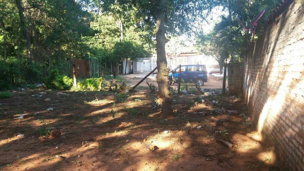 Vendo terreno con casita — foto 3