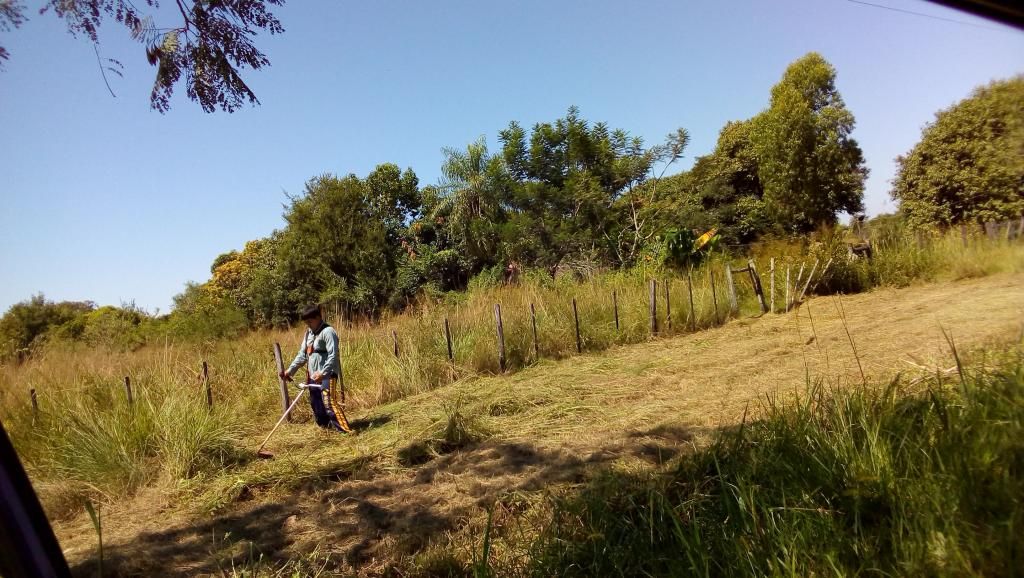 VENDO TERRENO EN BENJAMIN ACEVAL SOBRE LA TRANSCHACO KM 41 — foto 2