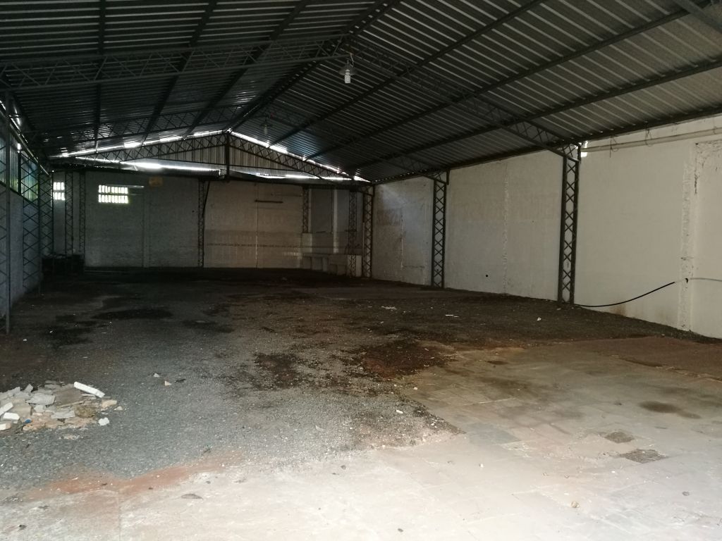 APROVECHE LA OPORTUNIDAD DUEÑO VENDE CASA CON TINGLADO. SIN INTERMEDIARIO. — foto 3