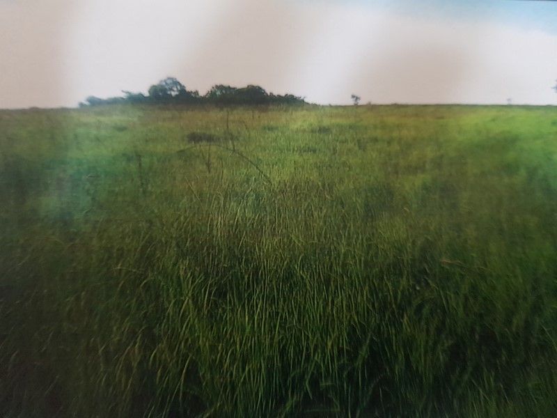 VENDO 2.718 HETÁREAS EN ARROYOS Y ESTEROS. — foto 3