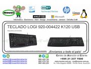 TECLADO LOGI 920-004422 K120 USB