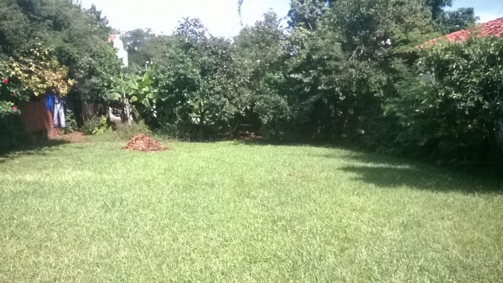 TERRENO 12X32 ZONA LAURELTY LUQUE — foto 2
