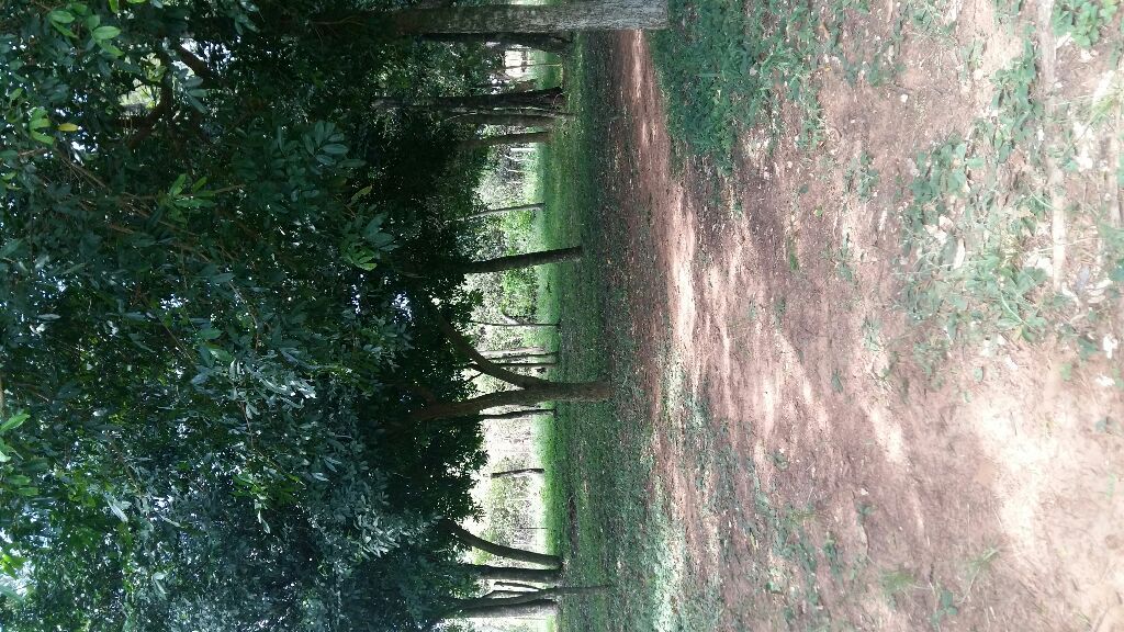 VENDO 6H PIRIBEBUY — foto 2