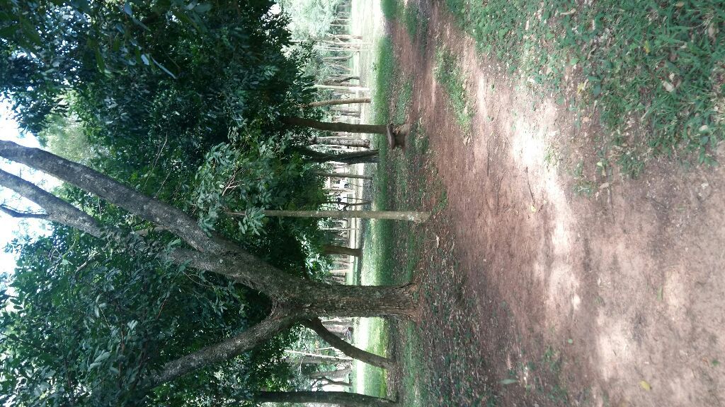 VENDO 6H PIRIBEBUY — foto 3