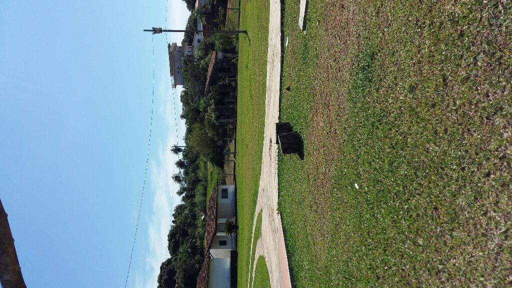 VENDO GRANJA 48 H CAACUPE — foto 2
