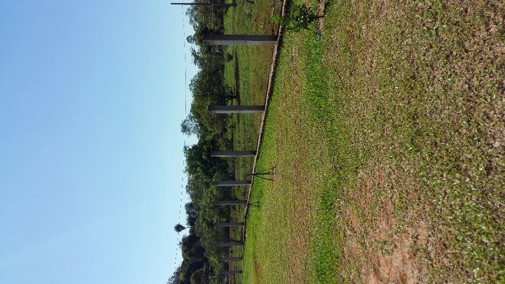 VENDO 48 HECTAREAS EN CAACUPE — foto 3