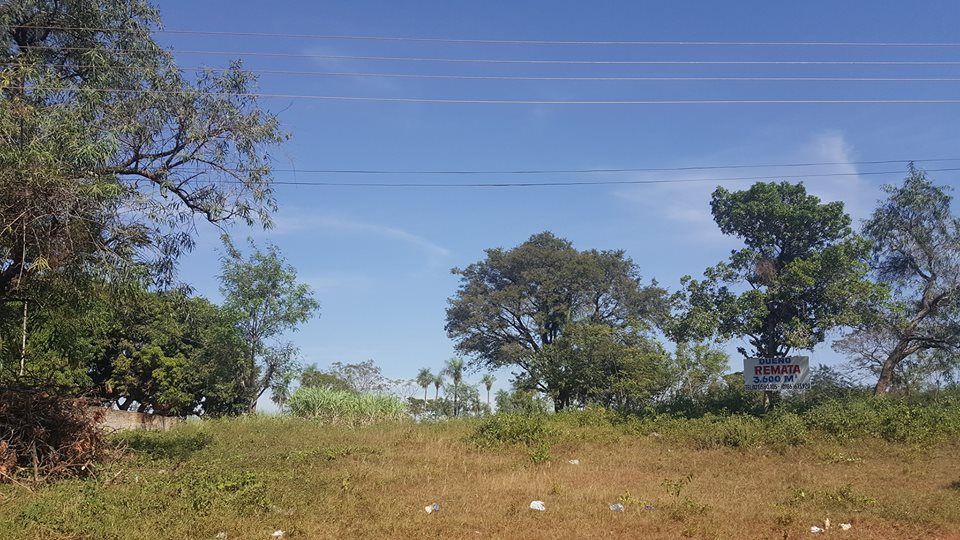 Dueño REMATA hermosa propiedad de 5.688 m2 a — foto 2
