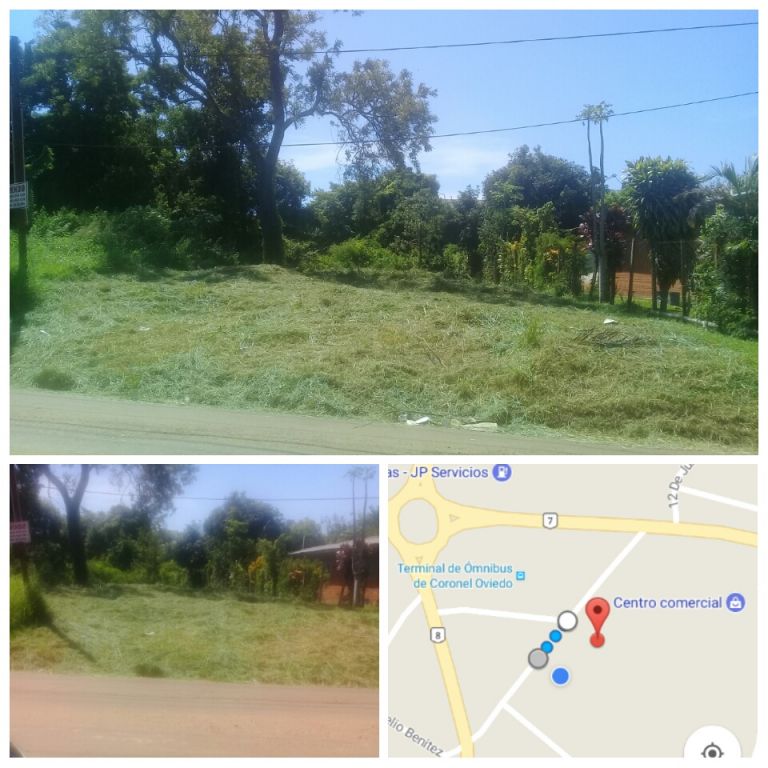 Terreno en Cnel. Oviedo — foto 2