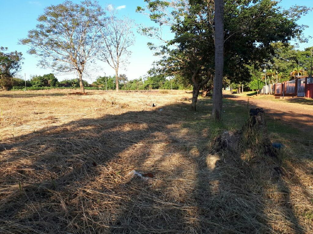 Terrenos en capiata km 21 rojas cañada — foto 2