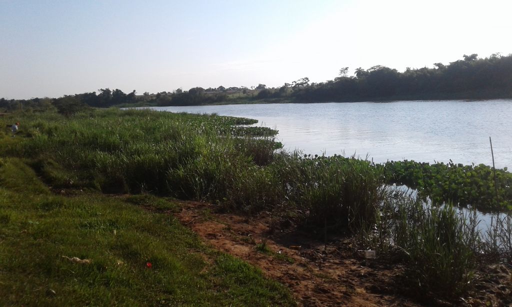 177 has en Minga Guazu — foto 2