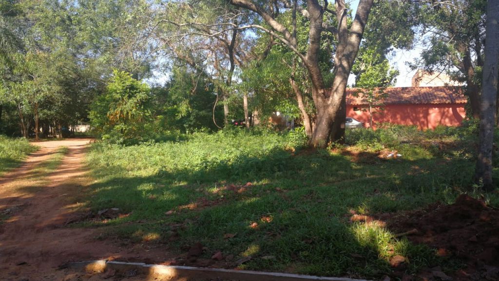 Vendo Terrenos En San Lorenzo Barrio Laurelty — foto 3
