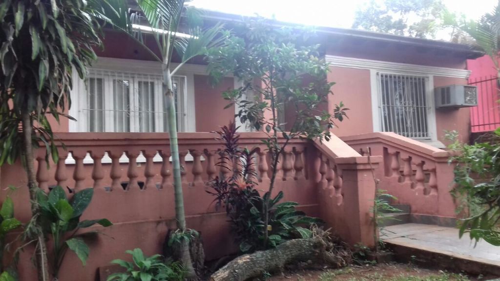 zona avelino martinez — foto 2