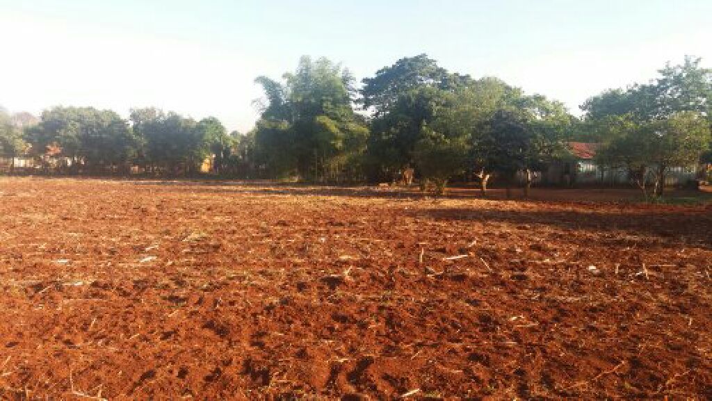 Propietario vende o alquila propiedad — foto 3
