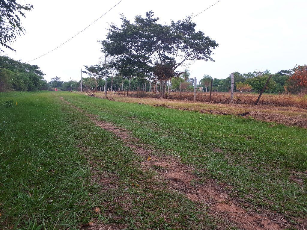Lotes en Limpio. — foto 2