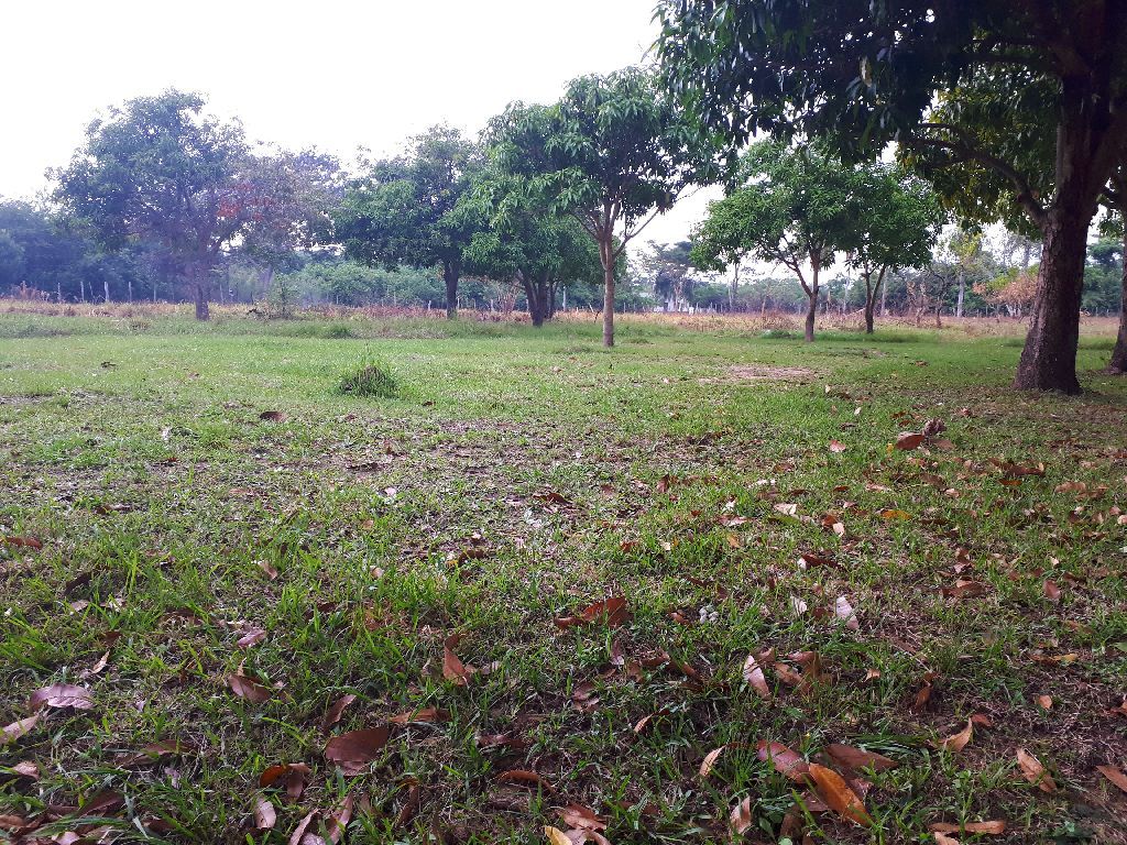 Lotes en Limpio. — foto 3