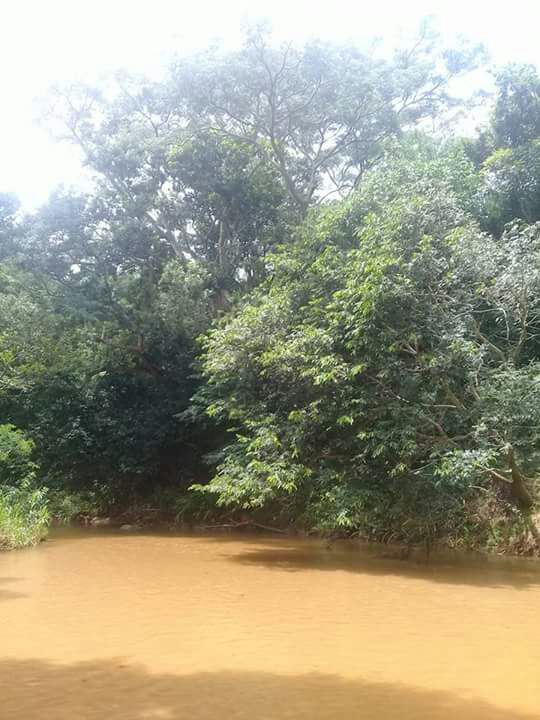 VENDO HERMOSO TERRENO EN PIRIBEBUY — foto 2