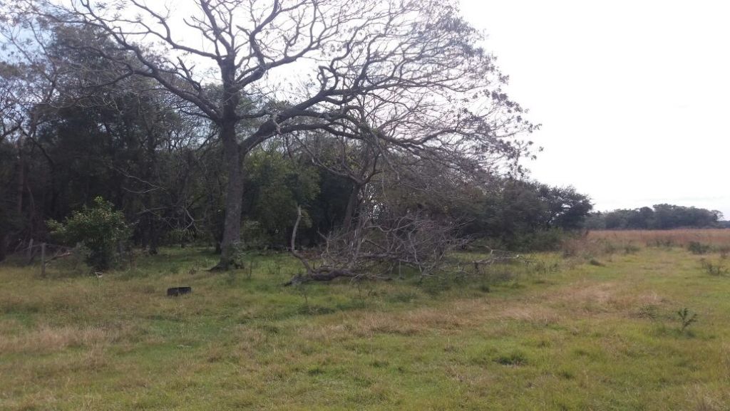 Vendo o Permuto — foto 2