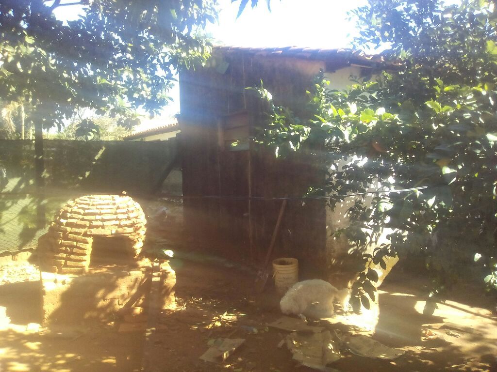 Vendo Hermosa Casa En Luque — foto 3