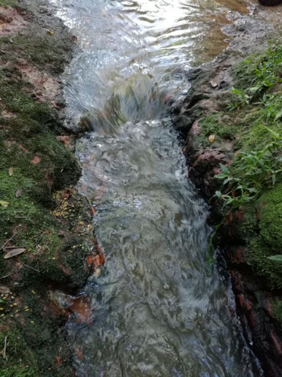 Oferto 4 Hectáreas en Cordillera — foto 2