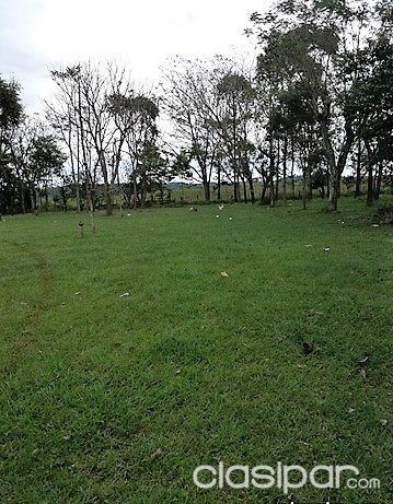 VENDO HERMOSA PROPIEDAD DE 6 HECTAREAS EN CIUDAD DEL ESTE — foto 2