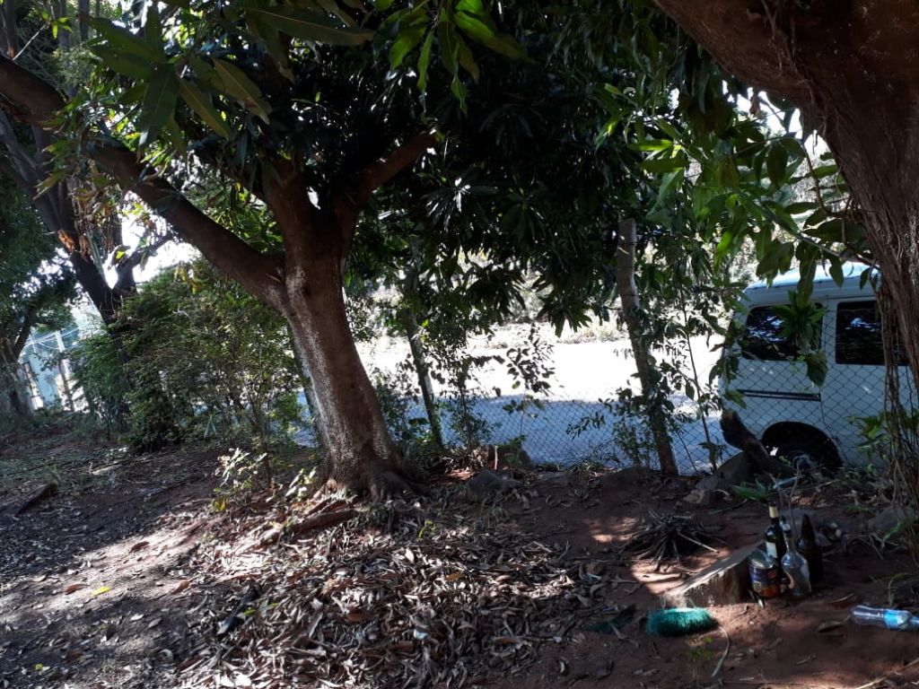 VENDO TERRENO TITULADO EN VILLA ELISA — foto 2