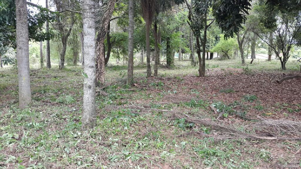 Vendo 3 hectáreas en San Antonio lindo lugar — foto 3