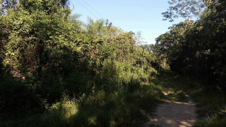 Terreno en emboscada de 2 hectárea — foto 2