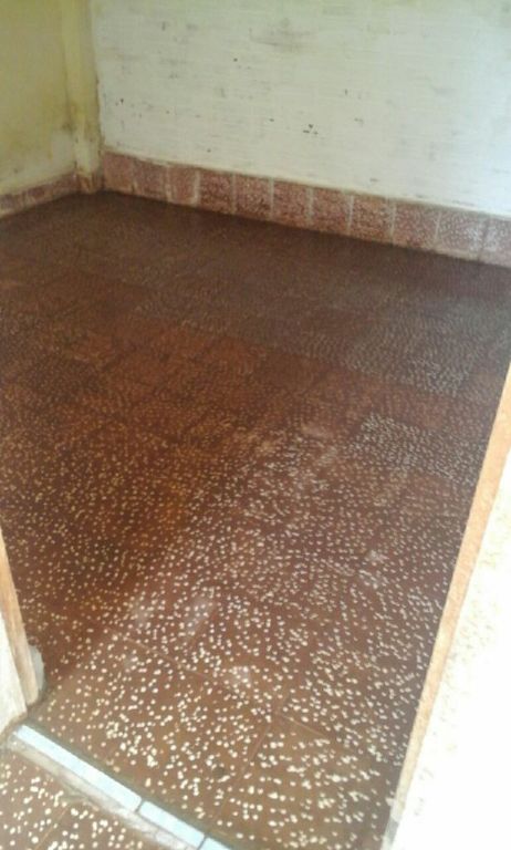 Alquilo piezas en Caacupemi Aregua — foto 3