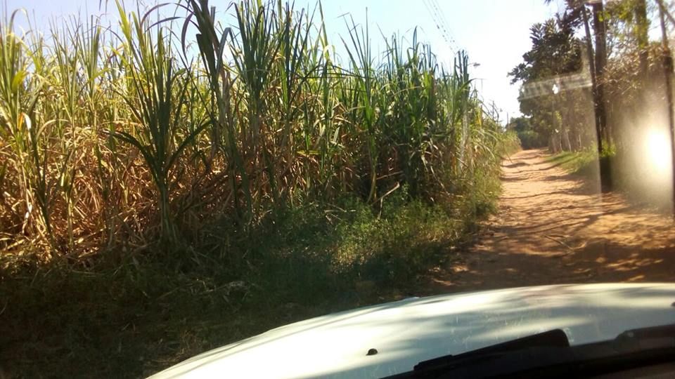 Vendo Propiedad en Guarambarè — foto 2