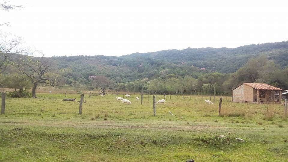 Vendo terreno en la ciudad Arroyo Pora - Paraguari — foto 2