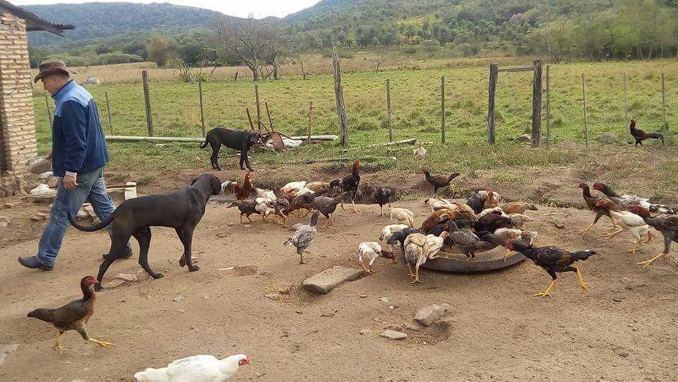 Vendo terreno en la ciudad Arroyo Pora - Paraguari — foto 3