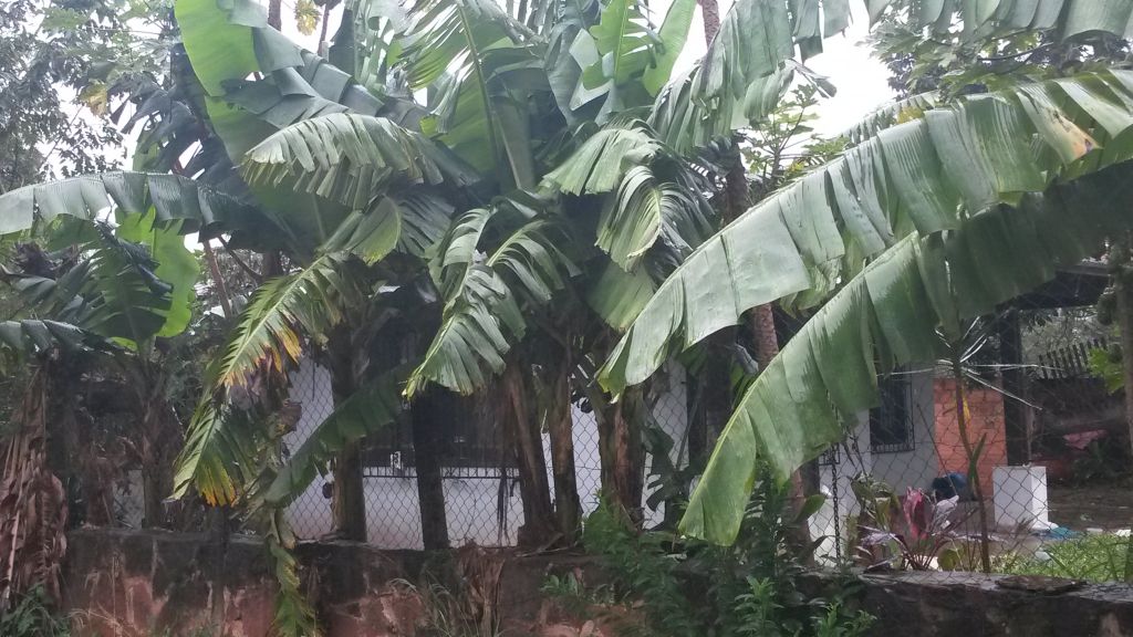 ¡¡¡¡REGALO CASA!!!! — foto 3