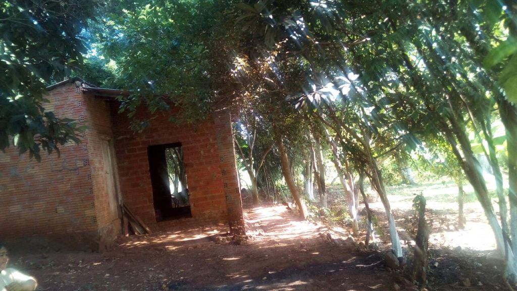 SE VENDE DOS TERRENOS JUNTOS CON TITULO E IMPUESTO AL DIA — foto 2