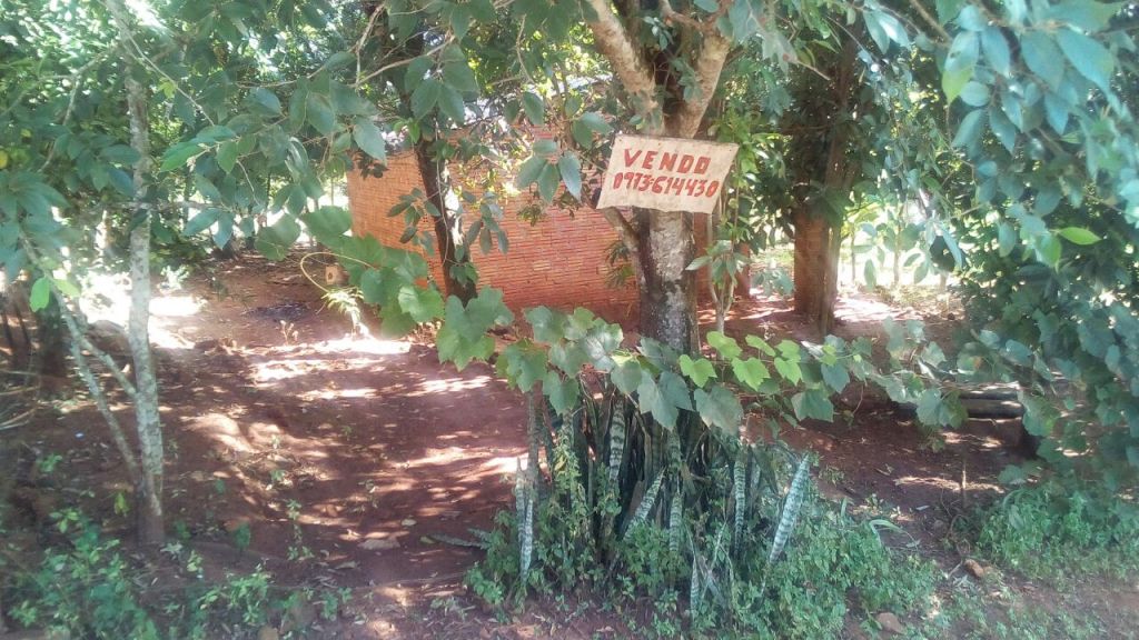 SE VENDE DOS TERRENOS JUNTOS CON TITULO E IMPUESTO AL DIA — foto 3