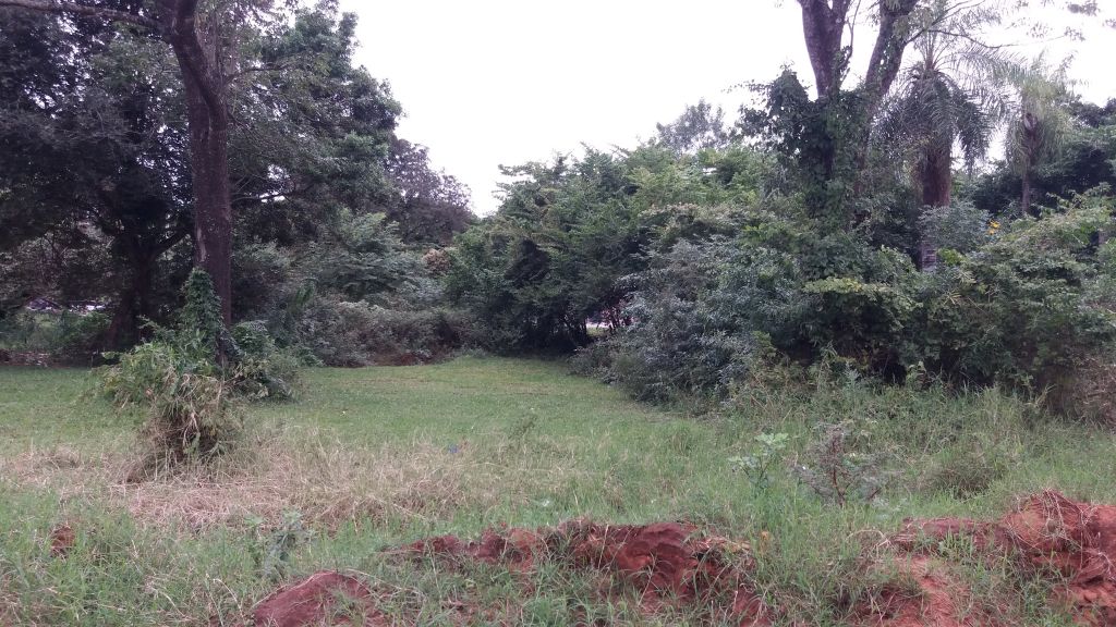 Oferto terreno — foto 2