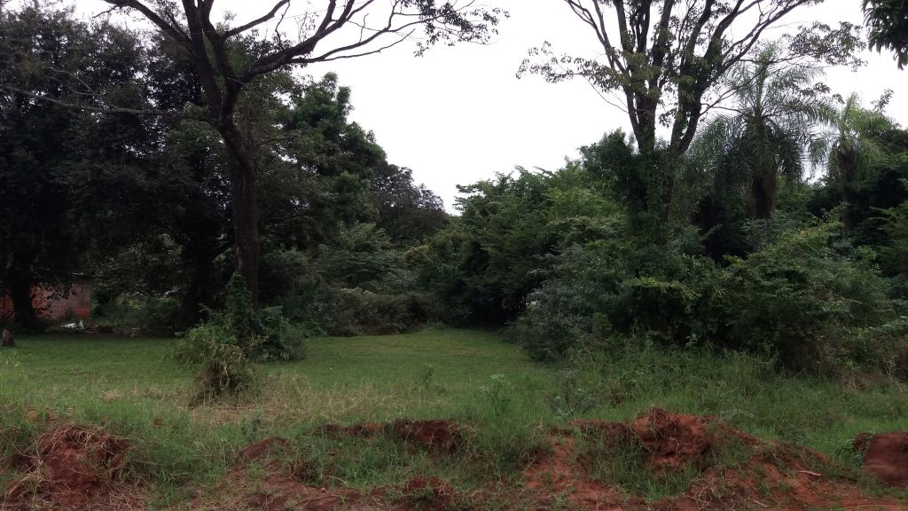 Oferto terreno — foto 3