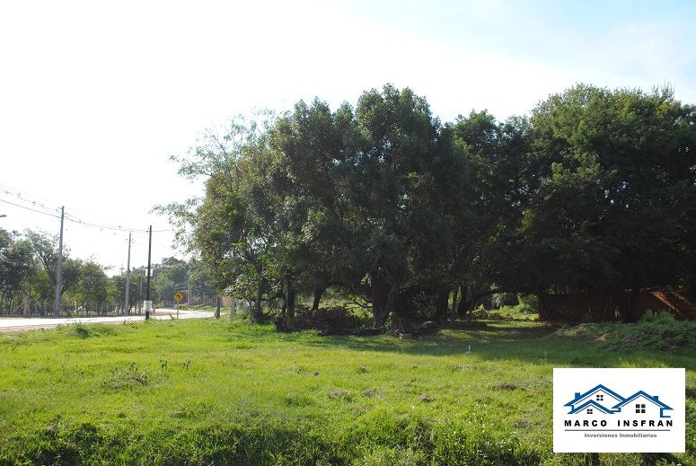 Terreno de 12x30 mts. A solo 30 mts. del ASFALTO en San Antonio — foto 3