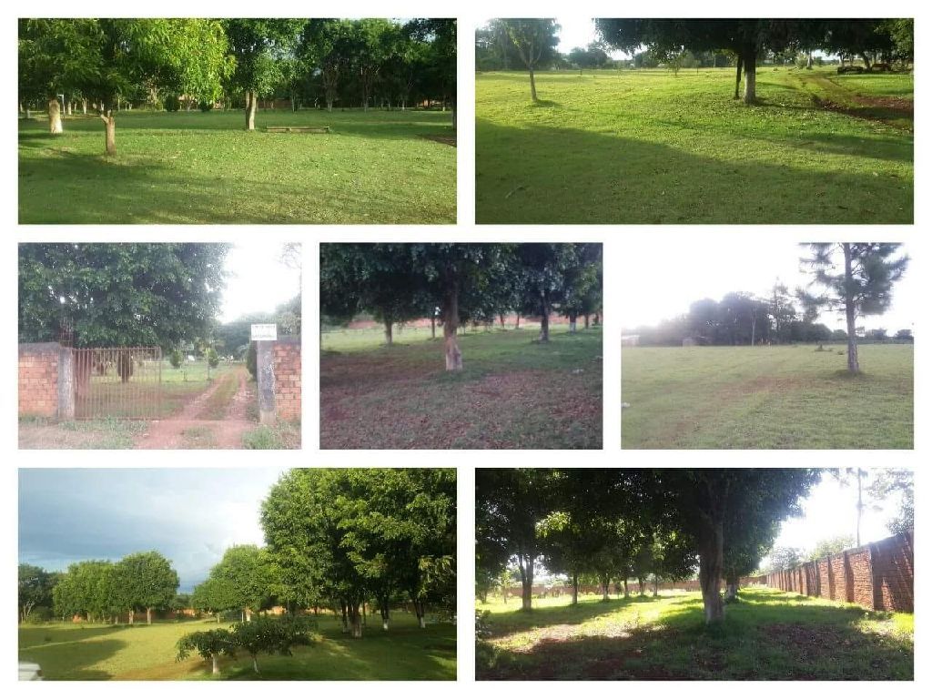 Vendo 5 hectareas — foto 2