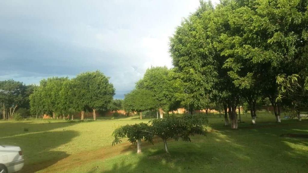 Vendo 5 hectareas — foto 3