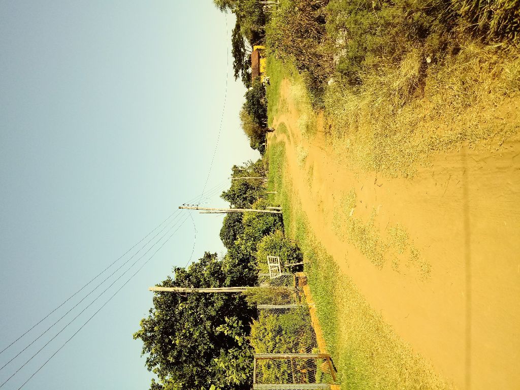 Terreno en J. Augusto — foto 2