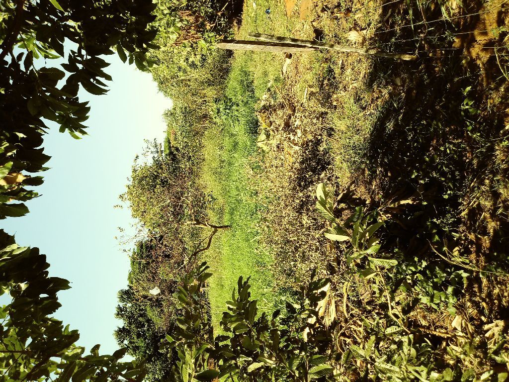 Terreno en J. Augusto — foto 3