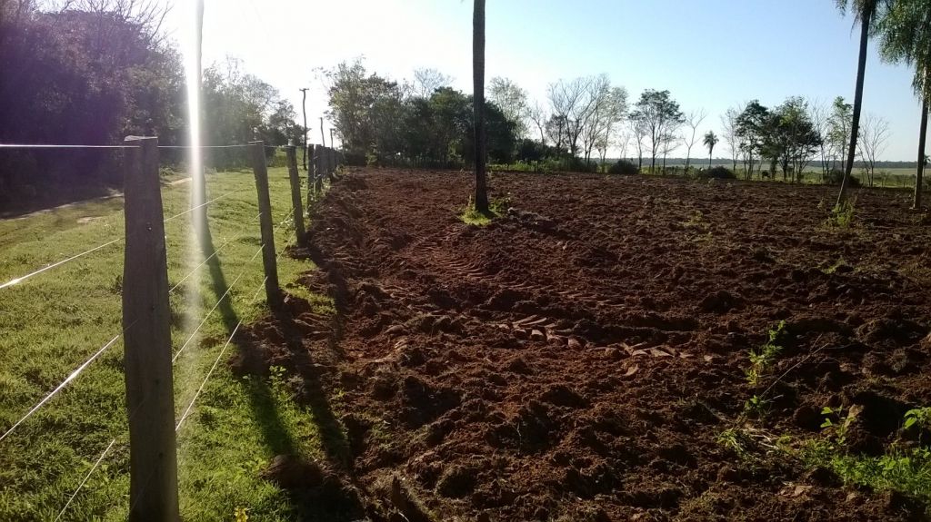 Anuncio 1132365 — foto 2