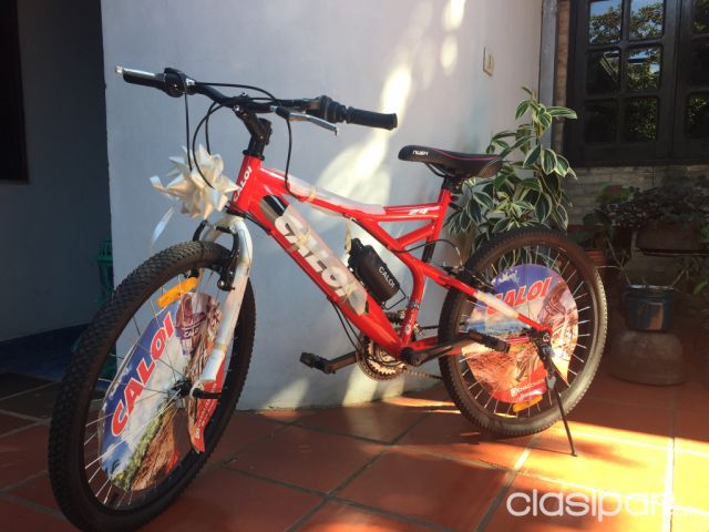 Bicicleta Caloi New Rider 24 1132502 Clasipar Com En Paraguay
