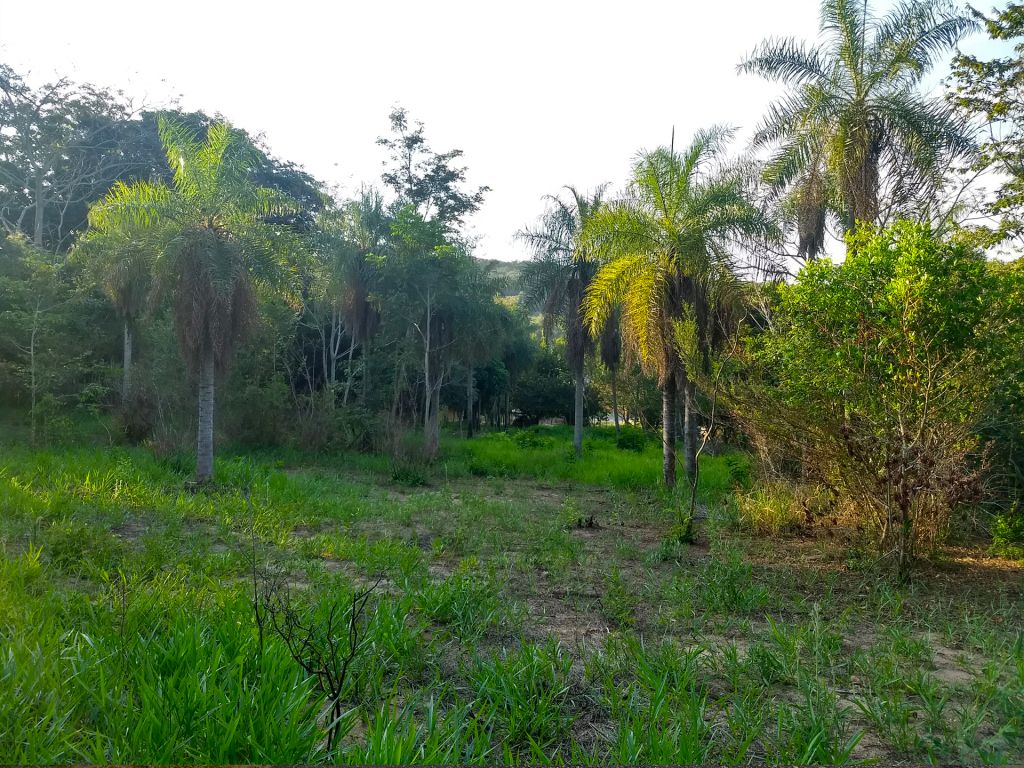 OFERTA! Terreno de 6850m2 en caacupe sobre ruta 2 — foto 3