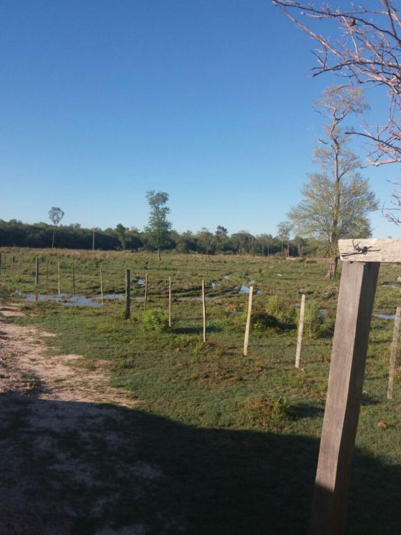 VENDO ESTANCIA FORMADA DE 1.435 HAS. (PTO. PINASCO - CHACO) — foto 3