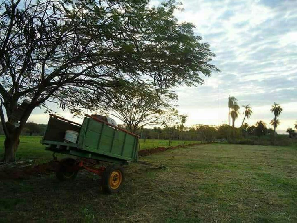 Vendo lotes — foto 3
