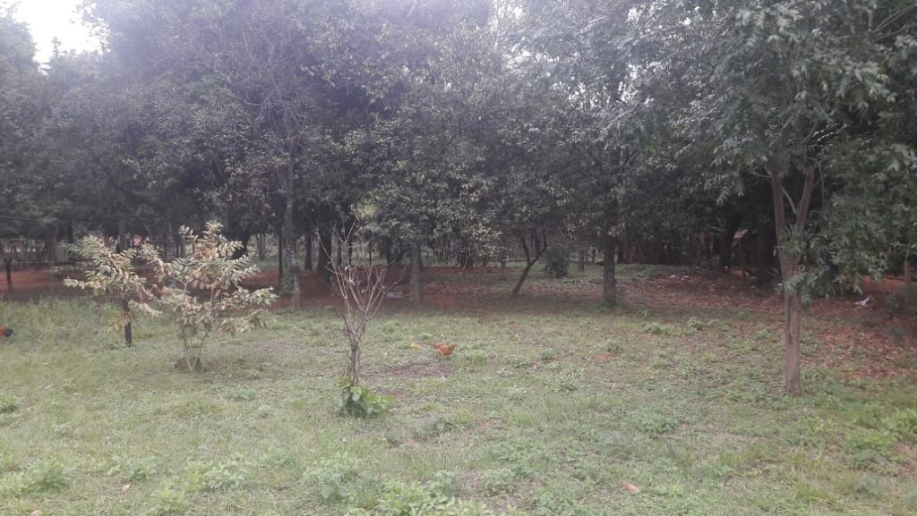 VENDO TERRENO!!!! — foto 2