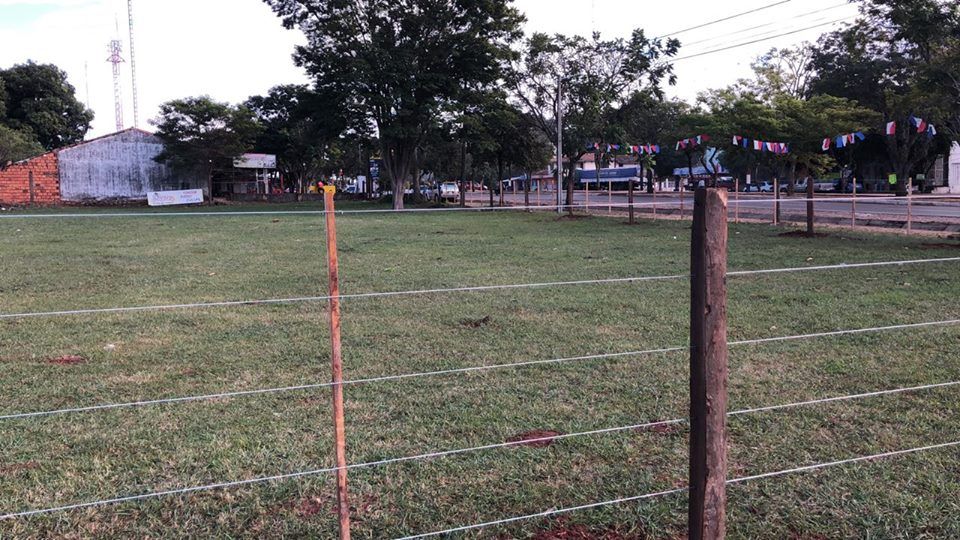 Vendo terreno en Nueva Italia — foto 3