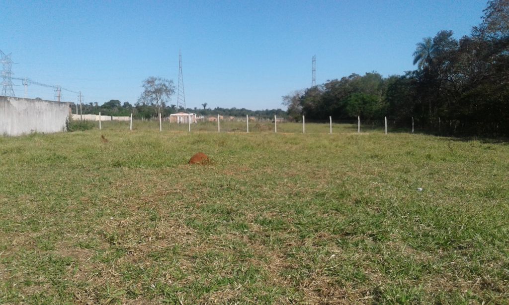 terrenos en Juan León Mallorquín — foto 2